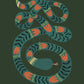 The snake that escaped