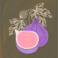 In my Kitchen - fig