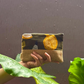 Vegetable In my Garden Pouch