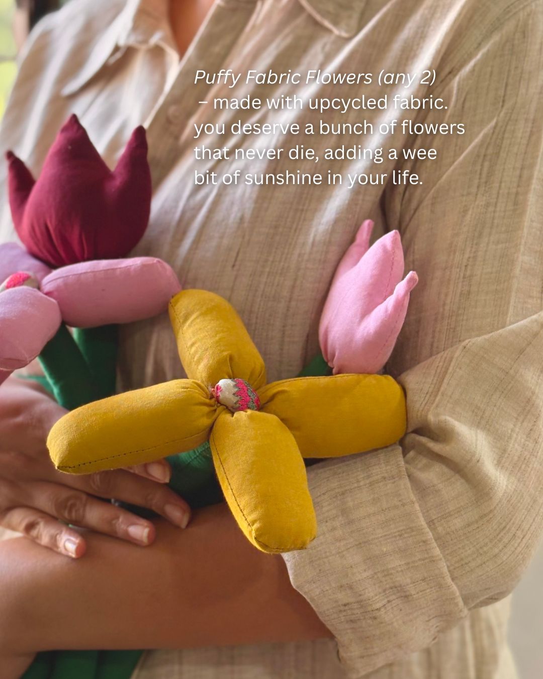 Bageecha in a Box 2026