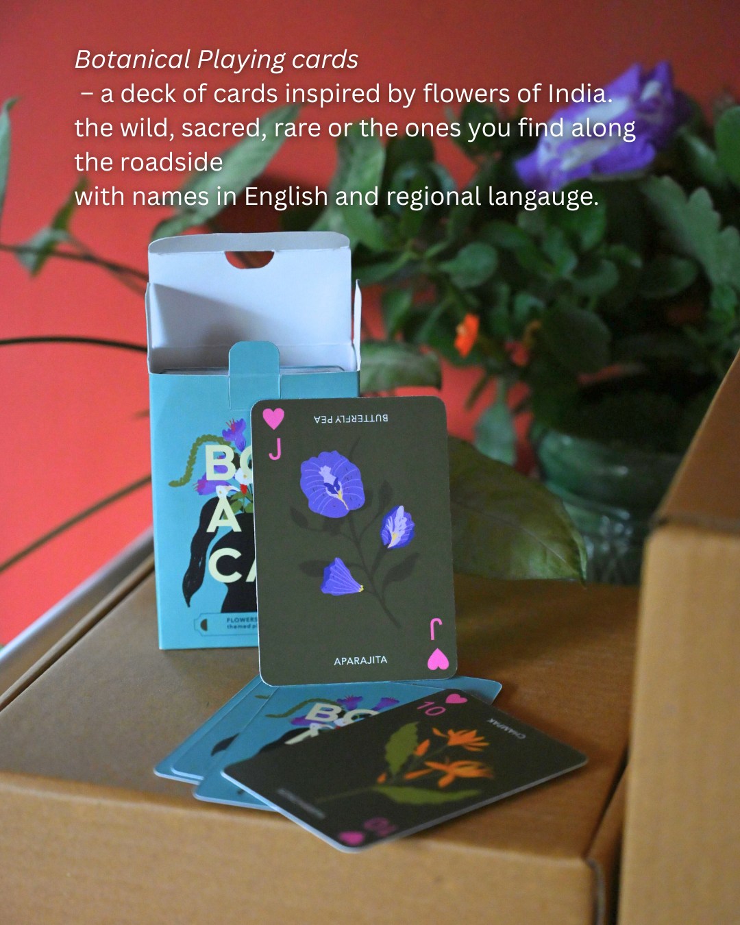 Bageecha in a Box 2026