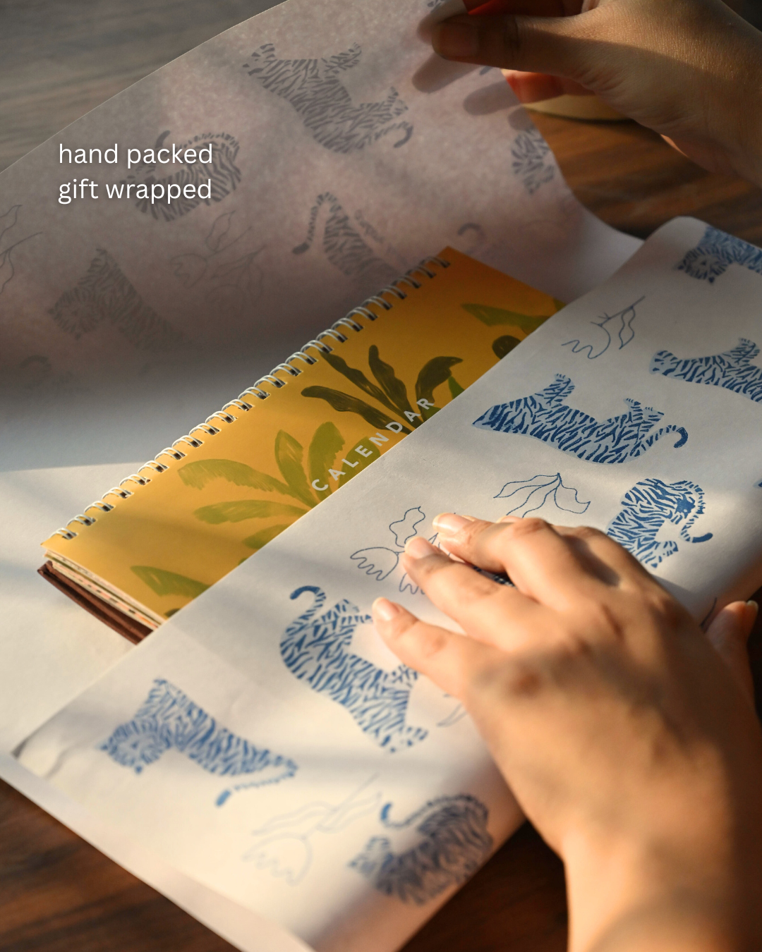 Bageecha in a Box 2026