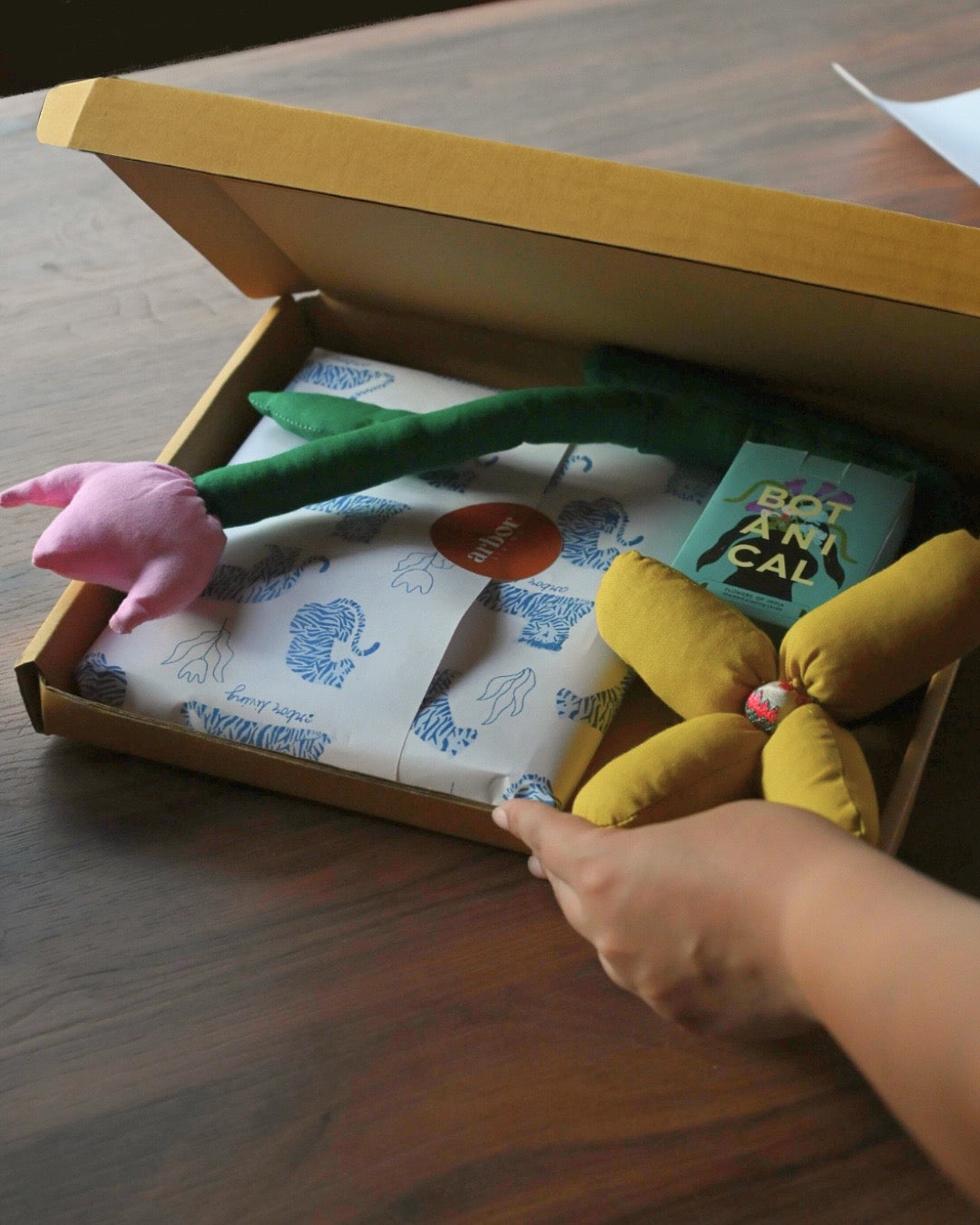 Bageecha in a Box 2026