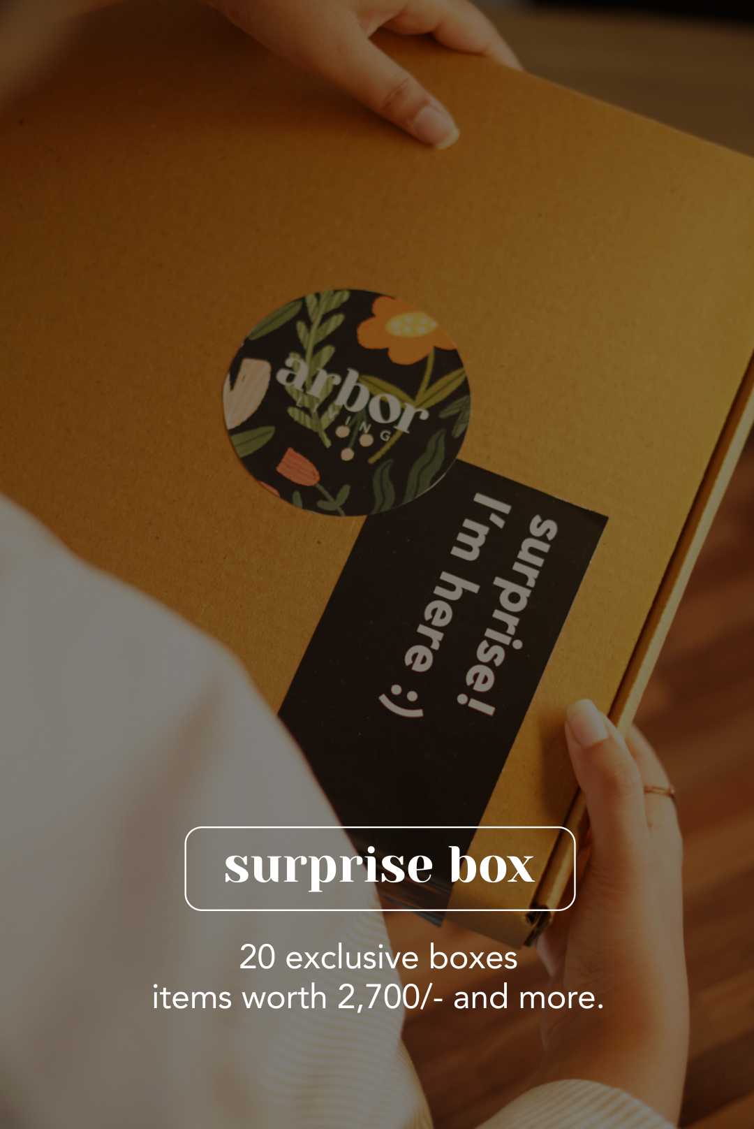SURPRISE BOX